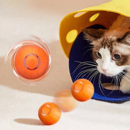 TheHomeTrends™ - Smart Cat Ball