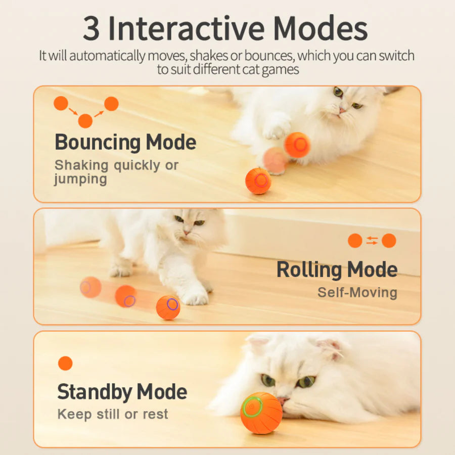 TheHomeTrends™ - Smart Cat Ball