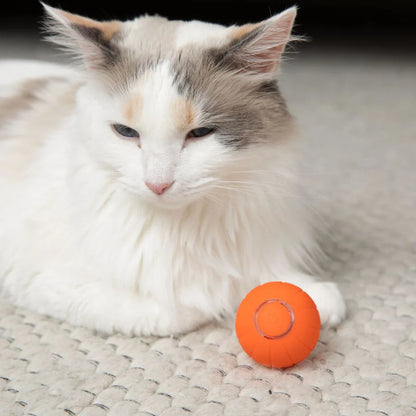 TheHomeTrends™ - Smart Cat Ball