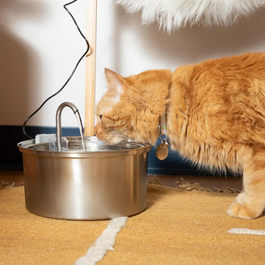 TheHomeTrends™ - Pet Water Fountain