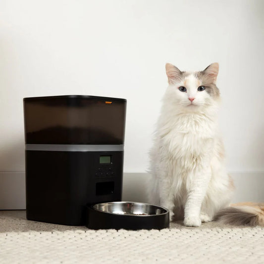 TheHomeTrends™ - Automatic Cat Feeder