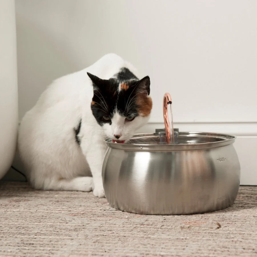 TheHomeTrends™ - Pet Water Fountain