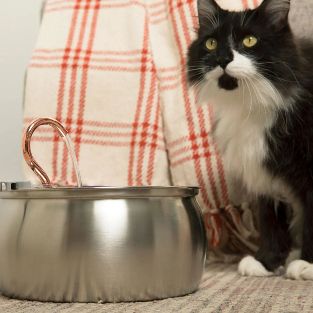 TheHomeTrends™ - Pet Water Fountain