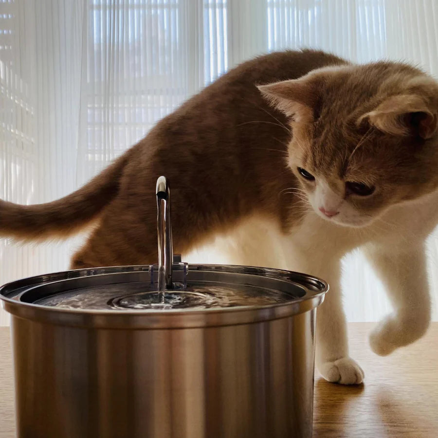 TheHomeTrends™ - Pet Water Fountain